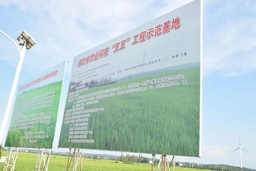 田頭技術(shù)服務(wù)滿畈駐，助力農(nóng)業(yè)現(xiàn)代化發(fā)展