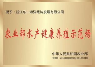 東一集團(tuán) 技術(shù)、服務(wù)與品質(zhì)的完美融合